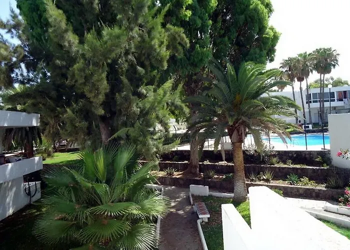 Cozy In In The South Coast Of Tenerife * 德尔锡伦西奥海岸